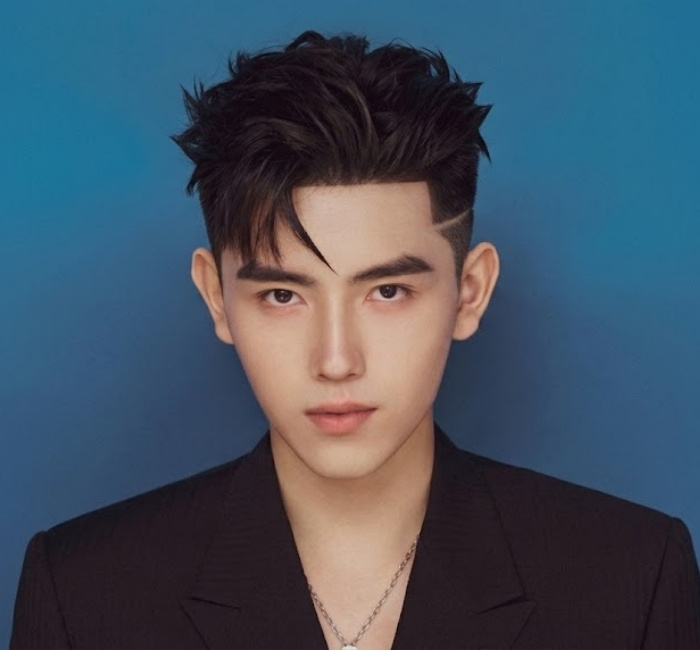 Korean two block haircut with sharp contrast between longer flowy top layers and cleanly trimmed short sides.